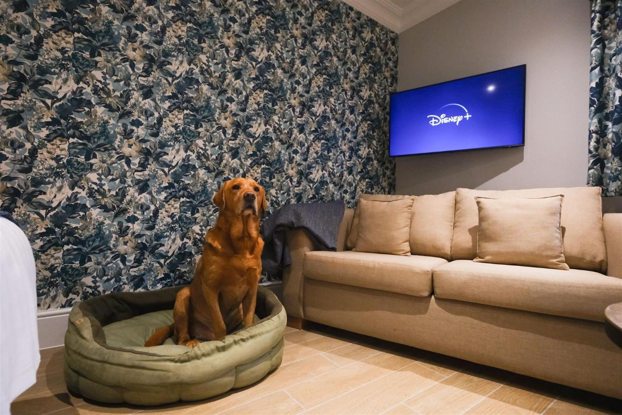 Mulberry House Guest House Ongar Bagian luar foto